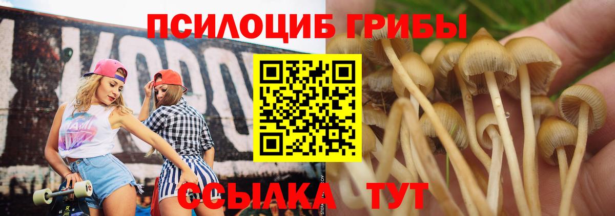 Галлюциногенные грибы GOLDEN TEACHER  Вход с VPN  Волгодонск  Галлюциногенные грибы прущие грибы 