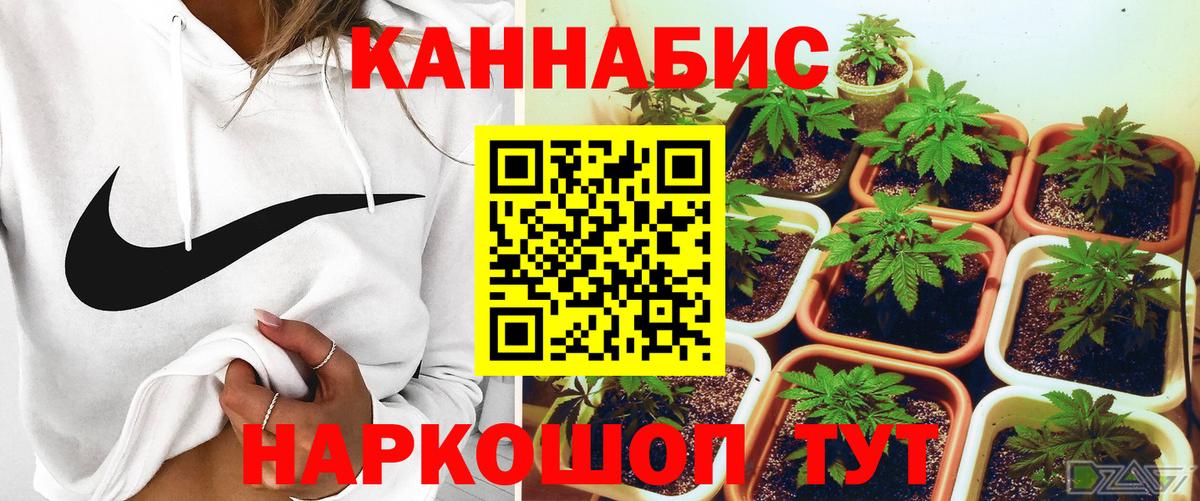 Шишки марихуана план Волгодонск